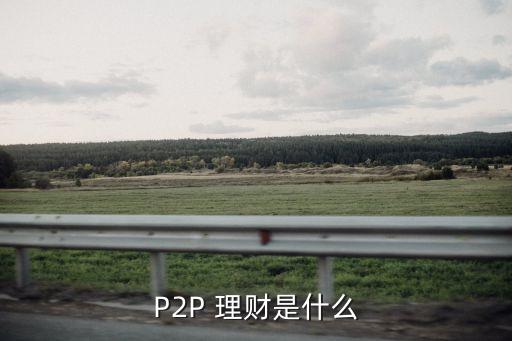 P2P 理財(cái)是什么