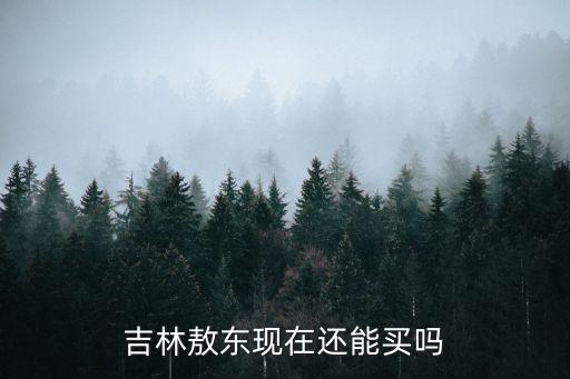 吉林敖東現(xiàn)在還能買(mǎi)嗎