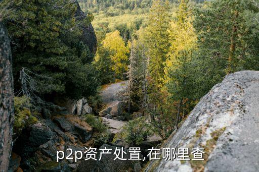  p2p資產(chǎn)處置,在哪里查