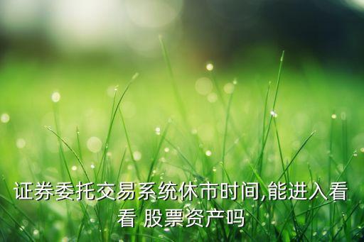 證券委托交易系統(tǒng)休市時間,能進入看看 股票資產(chǎn)嗎