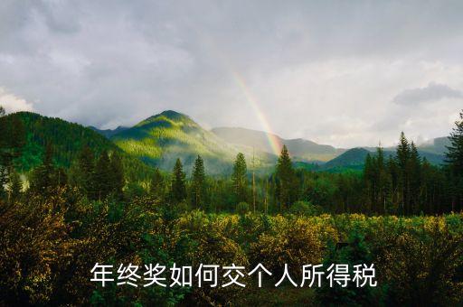 公司年終獎(jiǎng)個(gè)稅