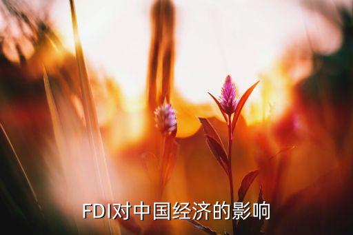 FDI對中國經(jīng)濟(jì)的影響