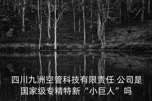  四川九洲空管科技有限責(zé)任 公司是國家級專精特新“小巨人”嗎