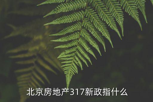  北京房地產(chǎn)317新政指什么