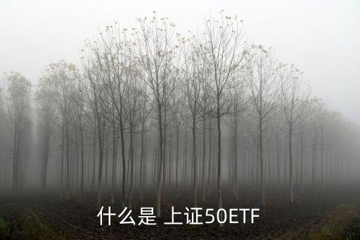 什么是 上證50ETF