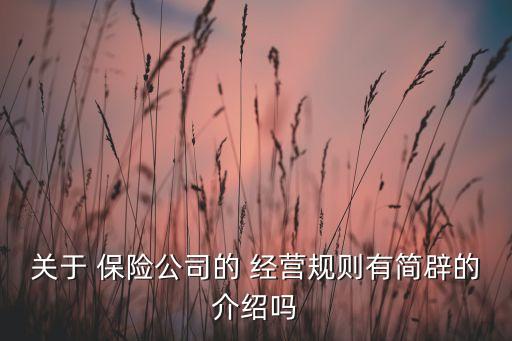 關(guān)于 保險公司的 經(jīng)營規(guī)則有簡辟的介紹嗎