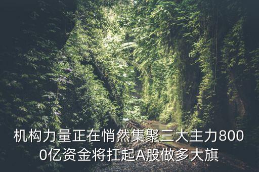 機構(gòu)力量正在悄然集聚三大主力8000億資金將扛起A股做多大旗