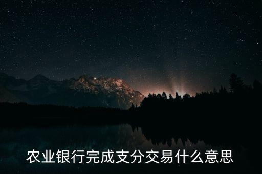 農(nóng)業(yè)銀行完成支分交易什么意思