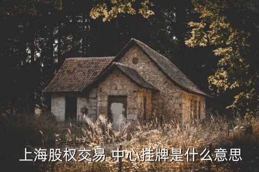  上海股權交易 中心掛牌是什么意思