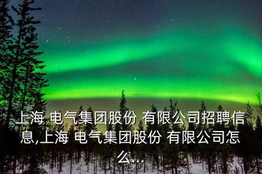 上海 電氣集團股份 有限公司招聘信息,上海 電氣集團股份 有限公司怎么...