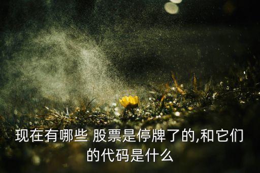 現(xiàn)在有哪些 股票是停牌了的,和它們的代碼是什么