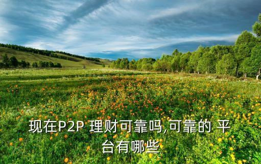 現(xiàn)在P2P 理財(cái)可靠嗎,可靠的 平臺(tái)有哪些