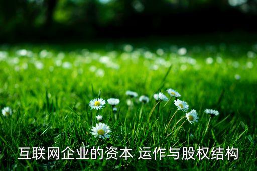 互聯(lián)網(wǎng)企業(yè)的資本 運(yùn)作與股權(quán)結(jié)構(gòu)