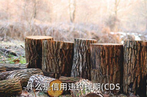 美國(guó)cds公司,美國(guó)一年期CDS