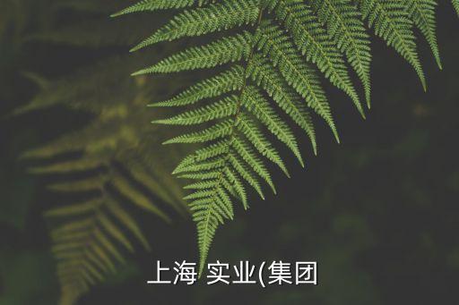  上海 實(shí)業(yè)(集團(tuán)