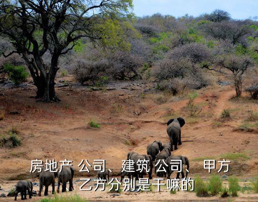  房地產(chǎn) 公司、建筑 公司、 甲方、乙方分別是干嘛的