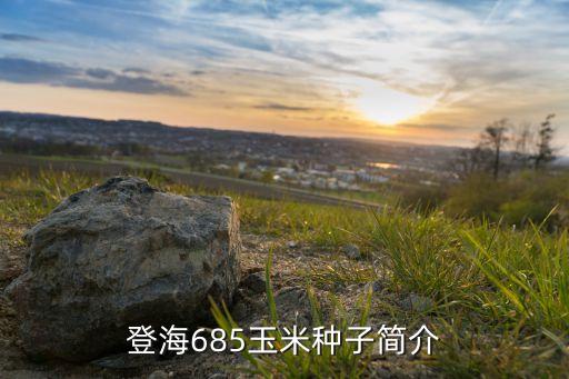 登海685玉米種子簡介