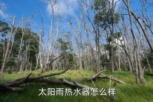 太陽雨集團子公司有哪些