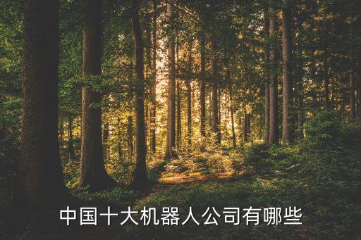 哈爾濱博實(shí)自動化股份有限公司上市