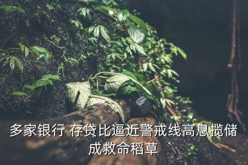 多家銀行 存貸比逼近警戒線高息攬儲(chǔ)成救命稻草