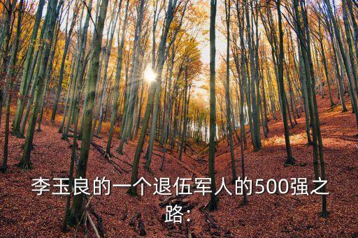  李玉良的一個(gè)退伍軍人的500強(qiáng)之路: