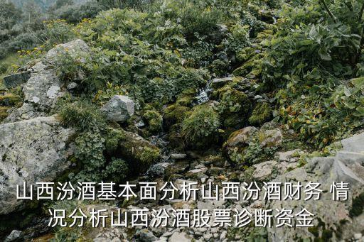 山西汾酒基本面分析山西汾酒財務(wù) 情況分析山西汾酒股票診斷資金