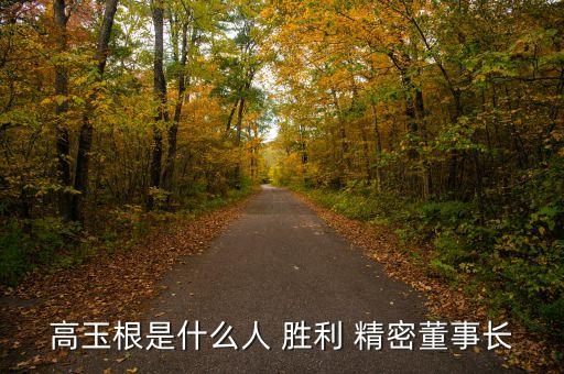 高玉根是什么人 勝利 精密董事長(zhǎng)