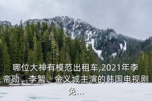 哪位大神有模范出租車,2021年李帝勛、李絮、金義城主演的韓國電視劇免...