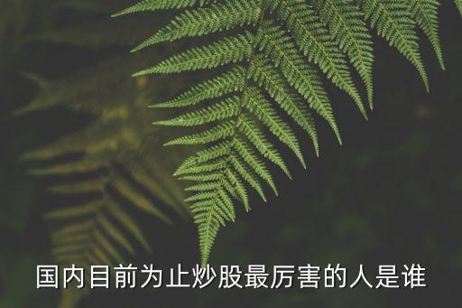 中國股票第一人,股票一人多戶