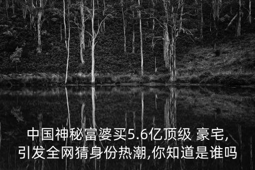 中國神秘富婆買5.6億頂級 豪宅,引發(fā)全網(wǎng)猜身份熱潮,你知道是誰嗎