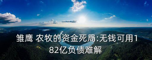  雛鷹 農(nóng)牧的資金死局:無(wú)錢(qián)可用182億負(fù)債難解