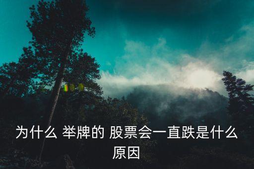 為什么 舉牌的 股票會(huì)一直跌是什么原因