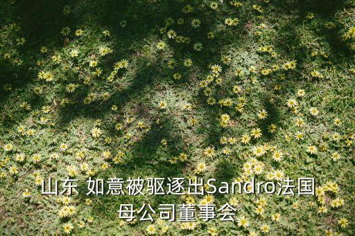 山東 如意被驅(qū)逐出Sandro法國(guó)母公司董事會(huì)