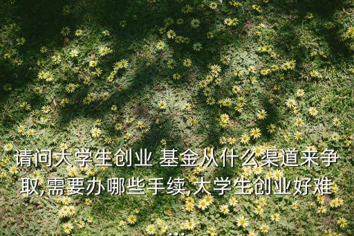 請(qǐng)問(wèn)大學(xué)生創(chuàng)業(yè) 基金從什么渠道來(lái)爭(zhēng)取,需要辦哪些手續(xù),大學(xué)生創(chuàng)業(yè)好難...