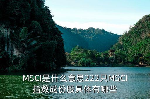 MSCI是什么意思222只MSCI指數(shù)成份股具體有哪些