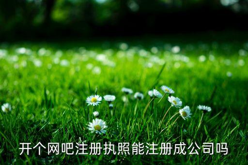 開個(gè)網(wǎng)吧注冊(cè)執(zhí)照能注冊(cè)成公司嗎