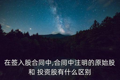 在簽入股合同中,合同中注明的原始股和 投資股有什么區(qū)別