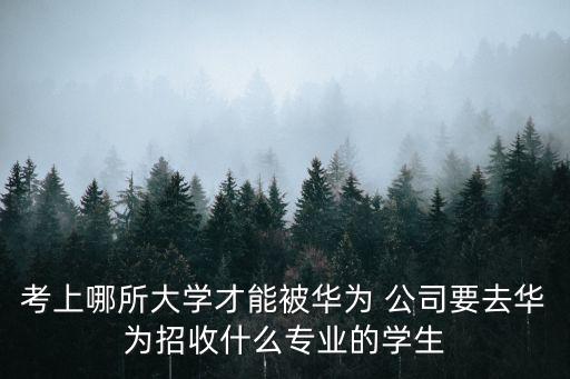 考上哪所大學(xué)才能被華為 公司要去華為招收什么專業(yè)的學(xué)生