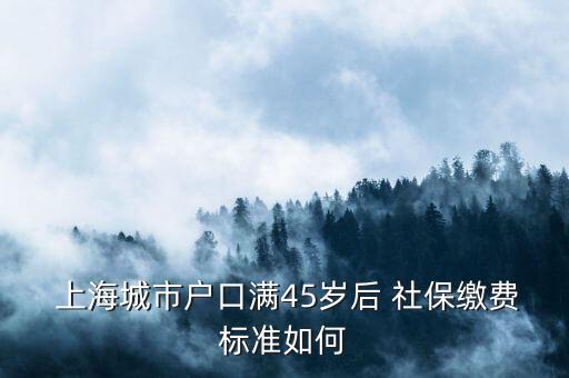  上海城市戶口滿45歲后 社保繳費標(biāo)準(zhǔn)如何