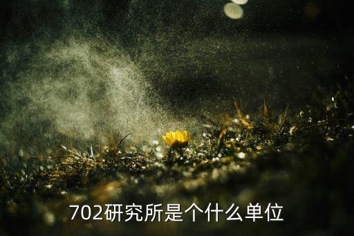 702研究所是個什么單位