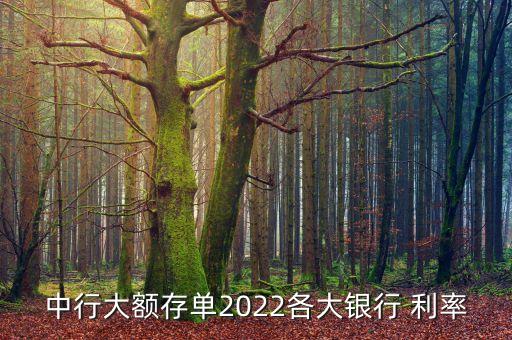 中行大額存單2022各大銀行 利率