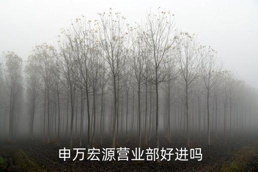 申萬宏源證券有限公司怎么樣