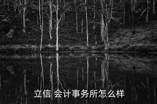  立信 會(huì)計(jì)事務(wù)所怎么樣