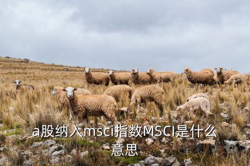 a股納入msci指數(shù)MSCI是什么意思