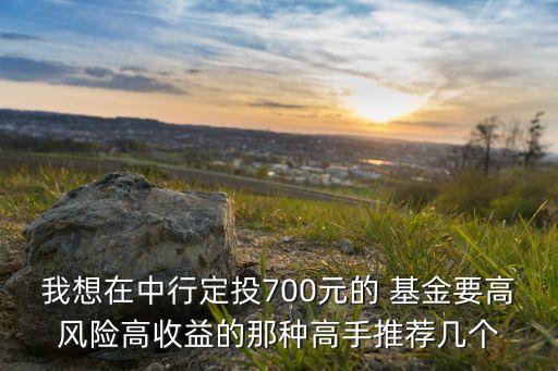 我想在中行定投700元的 基金要高風(fēng)險(xiǎn)高收益的那種高手推薦幾個(gè)