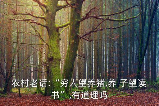 農(nóng)村老話:“窮人望養(yǎng)豬,養(yǎng) 子望讀書(shū)”,有道理嗎