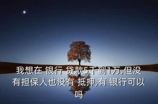 我想在 銀行 貸款5千到1萬,但沒有擔(dān)保人也沒有 抵押,有 銀行可以嗎