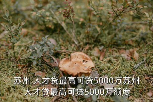 蘇州 人才貸最高可貸5000萬蘇州 人才貸最高可貸5000萬額度