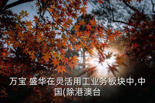 甘肅盛華投資有限公司,甘肅廣潤盛華實業(yè)集團有限公司