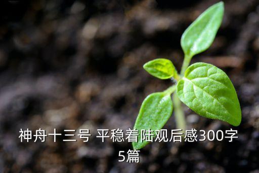 神舟十三號 平穩(wěn)著陸觀后感300字5篇